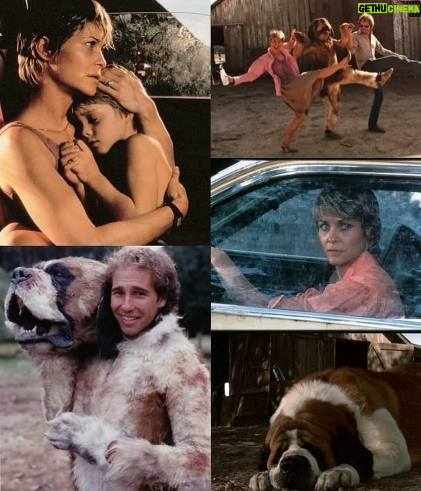 Dee Wallace Instagram - Celebrating the release of Cujo today! 🐶 1983… Don’t worry, the man in the dog suit was ONLY used when Cujo bashes his head into the door 😂 #cujo #horror #anniversary