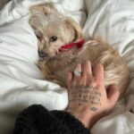 Demi Lovato Instagram - Swipe for an uncanny resemblance to a baby seal 🦭