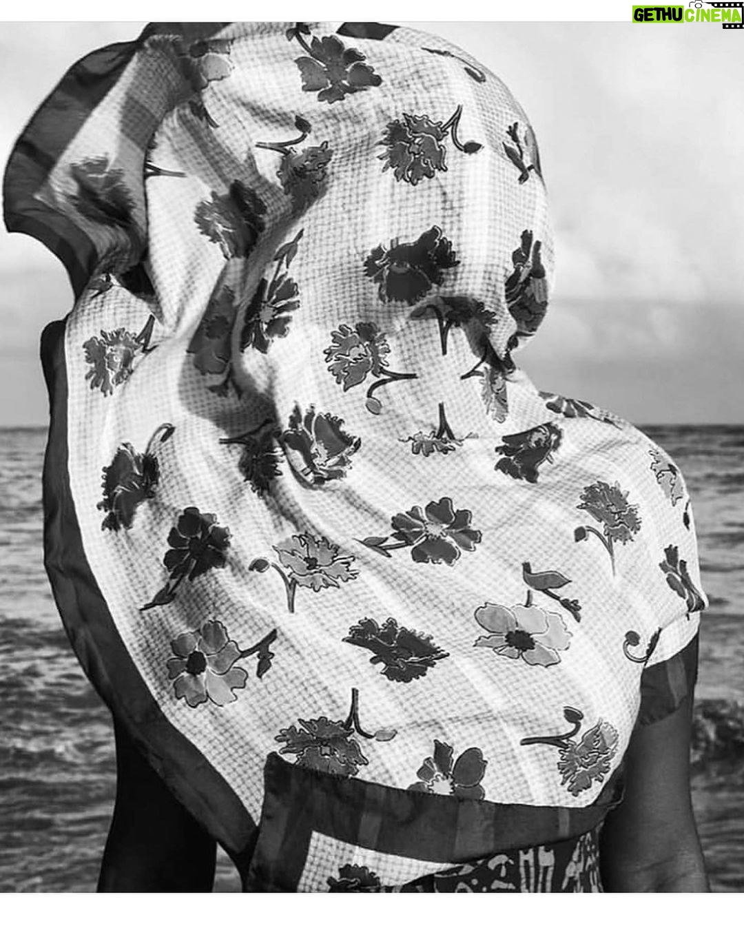 Denée Benton Instagram - I bought this stunning photograph from a beautiful action I just learned about: Prints for @thepcrf . 100% of the proceeds will go to the Pa*estine Children’s Relief Fund. It ends on 11/20 so don’t put it off :) Link is in my bio 🍉. This image feels like home 🌴🐊 Print by D’Angelo Lovell Williams #ceasefirenow