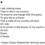 Denée Benton Instagram – What a holy ask, wish, prayer 🤲🏾🍉
#ceasefirenow 
Ethnic cleansing can never be justified