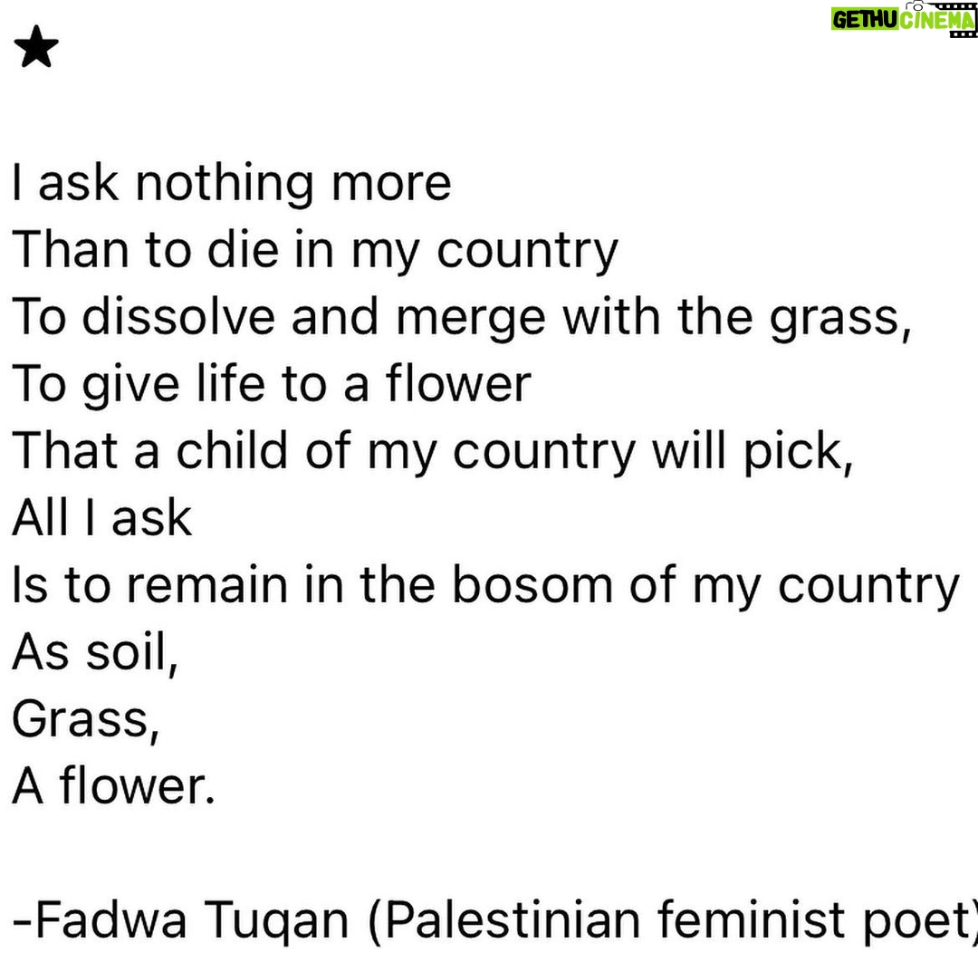 Denée Benton Instagram - What a holy ask, wish, prayer 🤲🏾🍉 #ceasefirenow Ethnic cleansing can never be justified