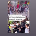 Denée Benton Instagram - Tending to my spirit with ‘Get Free’ by @mereba 🍉🕊️🍉 “We teach life sir, we P💔lestinians wake up every morning and teach the world life” #permanentceasefirenow #free🇵🇸