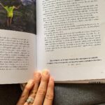 Denisa Cziglová Instagram - Žij a dělej to, co tě baví. Život je dar, který jsme si rozbalili a máme si ho užít a prožit, než spadne opona a přijde tvá derniéra.” Denisa Cziglová Je to neuvěřitelné, nikdy jsem to nečekala, že se vyprodají všechny knížky 2000 kusů.🥹🫶🏻 Ano prodaly se teď, v období, které je pro mně náročnější, ale zase mě stále drží nad vodou a jsem strašně šťastná, že mi píšete jak vás inspiruje, motivuje a pomáhá i vám.😘 Svůj život jsem si opravdu od roku 2015 užívala naplno a celkově jsem moc vděčná za celý život. 🙏🏽Neloučím se teď to ne. Jen jsem ráda, že jsem si ho prožila hezky a doufám, že moje derniéra ještě chvilku počká. 😅 Děkuji moc @backstagebooks za vydání a všechno až do teďka. ❤️ Snad nám klapne alespoň ještě ta druhá knížka, kterou bych chtěla začit po létě psát. 😎🙌🏼 Vím, že mi často píšete, že knížku už nemůžete sehnat, jestli o nějaké nevím. Bohužel už nikde v knihkupectví a na eshopech asi nenajdete, ale třeba vám ji někdo půjčí nebo prodá. 😅 Ale pozor💛 Já jsem jednu knížku ještě našla. A ráda bych ji někomu věnovala🥰. Někomu kdo ji teď moc potřebuje, kdo bojuje a udělá mu velkou radost. Jaká je podmínka? Tady dolů⬇️ na IG napište prosím nějaký váš životní optimisticky příběh, něco co vám pomohlo a dělá radost ze života. Příští pátek vyberu vítěze a moc ráda pošlu knihu s věnováním.💛😘🫶🏻 #kniha #backstagebooks #mojeknizka #derniera #vyprodano #foodtherapybydenisa #mujpribeh #mujzivot #mujboj #nadornamozku🧠 #Evzen #cancermum #fuckcancer🎗