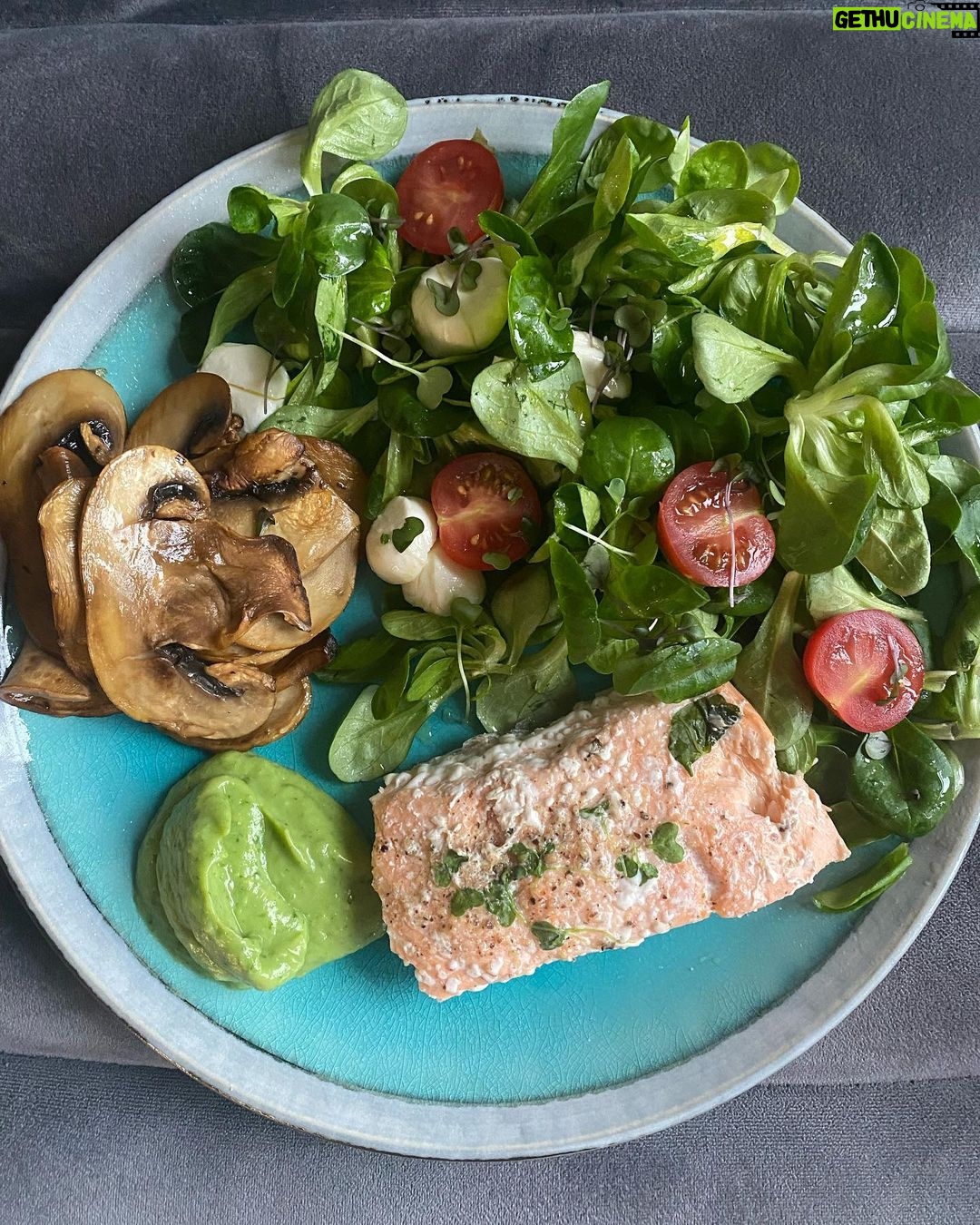 Denisa Cziglová Instagram - Už jste si dělali pesto z medvědího česneku?🐻🌱 Proč jíst medvědí česnek? Už samotný fakt, že jde o zelenou ingredienci, napovídá, jak moc je pro náš organismus důležitý. Najdeme v něm železo, zinek, hořčík, vápník, mangan, měď. Obsahuje důležité vitaminy B1, B2, C, A. Právě kvůli těmto přednostem jej naše babičky využívaly při léčbě závratí, křečových žil nebo při potížích s dechem. Silné sloučeniny a kyselina L-askorbová jsou pravým důvodem, proč je plný vitaminu C. Stačí jen 100 g zelených listů a tělu dodáte 150 mg vitaminu C, tedy trojnásobnou denní dávku, za což vám nejvíce poděkuje imunitní systém Fakt velká dobrota a moc zdravá vychytávka. Udělala jsem vychytávku s dobrou majo česnekovku z avokáda 🥑 suroviny: 100g medvědího česneku 1 avokádo 1 stoužek česneku Sůl, pepř 2 lžíce olivového oleje 3 lžíce vody Vše řádně rozmixujte a dolaďte🫶🏻 #medvedicesnek #jaro #zdravi #zdravinaprvnimmiste #foodtherapybydenisa #gliobastoma #cancermum #cancerfighter