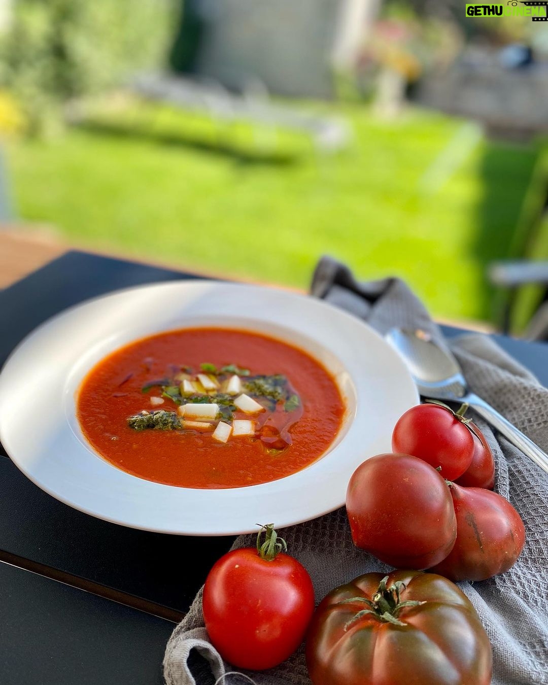 Denisa Cziglová Instagram - Prosím ať to léto a počasí nekončí🙏🏽😍☀️ A taky sklizeň domácích rajčat🍅😋 Bohužel poslední poctivá rajčatová polévka této sezóny, ale moc jsem si to užívala.🫶🏻😍 Pokud máte ještě přebytek tak doporučuji🥰 Suroviny🍅 olivový olej cibule 1 ks česnek 2ks 2kg rajčat vývar zeleninový 500 ml bobkový list 2ks sůl, pepř bazalka hrst bazalkové pesto mozzarella nebo kozí sýr Postup přípravy: 1. V hrnci na troše olivového oleje zpěňte 1 cibuli a 2 stroužky česneku nasekané najemno. 2. Rajčata spaříme horkou vodou a zbavíme se slupky. Nakrájíme je na kostičky. 3. Přidáme do rajčata do hrnce, 500 ml zeleninového vývaru, 1 bobkový list, osolte, opepřete a vařte 15 minut. 4. Vyjměte bobkový list a polévku rozmixujte; vmíchejte hrst sekaných lístků bazalky. 5. Podáváme s bazalkovým pestem, polévkovou lžíci s olivovým olejem a nakrájeným sýrem. 😍🫶🏻🍅 #rajcata #rajcatováolevka #dnesvarimja #zdravinaprvnimmiste #zdravapolevka #foodtherapybydenisa #cancermum #evzen #glioblastoma #bezcukru