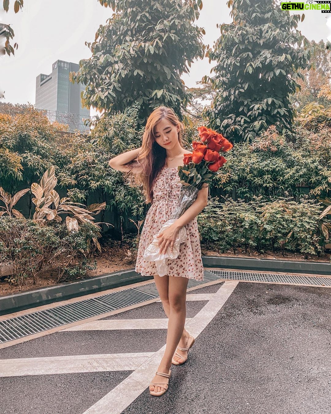 Denise Soong Ee Lyn Instagram - the after rain golden hour ✨ with the prettiest blooms from @rosesonlysg (for those who asked where to get these long stem beauties from 💌) happy long weekend all!