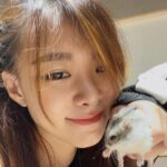 Denise Soong Ee Lyn Instagram - sometimes the smallest things take up the most room in our hearts 🍓☁️. I knew it was his last day because he was no longer eating or drinking and his breath was heavy, laboured. I took him out of the enclosure and he hid beneath my hand, bruxing softly as he napped. I offered him some treats. he ignored them. I played soft hamster music for him, giving him little massages and we sat together, this way in silence. I only hope he was still aware of my presence. two hours later he took his last breath while curled up under my fingers at 724pm. I’ll miss you, I love you so, cheeky little ball.