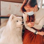 Denise Soong Ee Lyn Instagram - location below ⬇️ happiest day of my life 🥹🥹🥹 at | 📍Gyeoul’s House, Samoyed Cafe