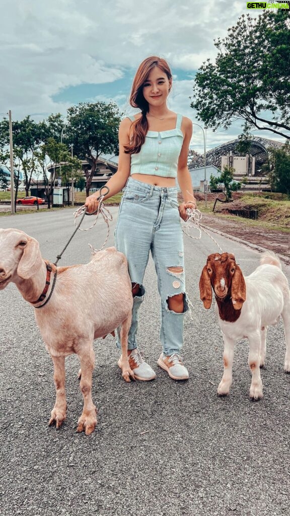 Denise Soong Ee Lyn Instagram - Did you know goats scream when they get excited? 🤣