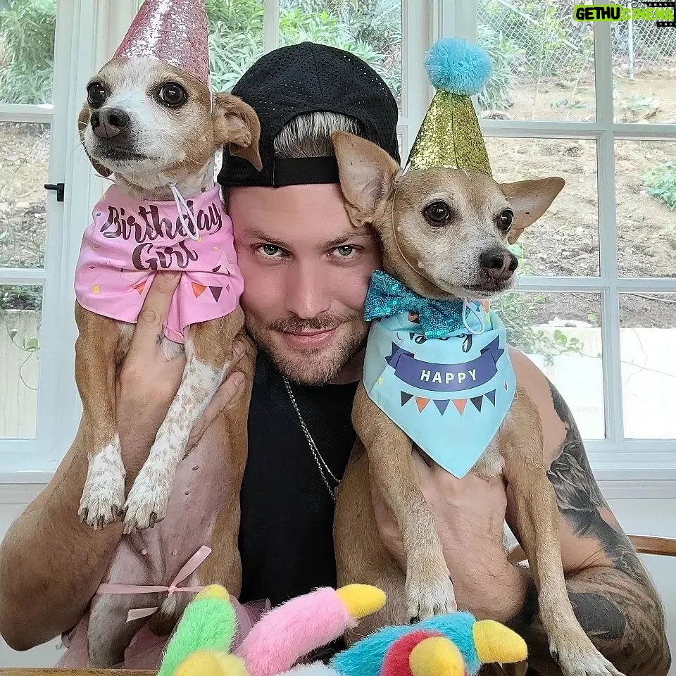 Dennis Jauch Instagram - Happy Birthday to our OGs Forrest & Lily 🎉🎂 I can't believe they've been with us for 11 years now, time really does fly. Thank you for keeping us sane, for showering us with unconditional love and morning wake up kisses. Your pure souls pick us up when we are down. They say that dogs over time mirror their humans and I can say that it's definitely true and it's hilarious 🤣 Here's to many more wonderful memories together ❤ Los Angeles, California