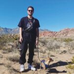 Dennis Jauch Instagram - Happy Sunday from the desert 🏜 Red Rock Canyon
