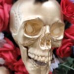 Dennis Jauch Instagram – Halloween Ready 🎃 Coffee and Plants LA