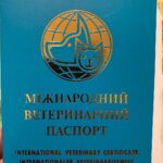 Denys Rodnianskyi Instagram - Перше фото нової реальності. Зроблене через годину після початку атаки Мордора. Ми відправляли ветеринару зміст паспорта кота, щоб дізнатись, чи випустять його за кордон із тими щепленнями. Виявилось… ні… І в ту мить я подумав, що кіт із своїм паспортом виїхати не може. А оркі, що на нас напали, можуть. Несправедливо… Ми вирішили прориватись з котом через кордон. Але поки ми їхали, на митниці дозволили вивозити тварин без документів взагалі. І от тепер…, Кіт за кордоном з моєю родиною, а оркі не можуть виїхати майже нікуди… Відтепер, паспорт української тварини дає більше переваг ніж паспорт орка. Карма…🤷🏻‍♂️
