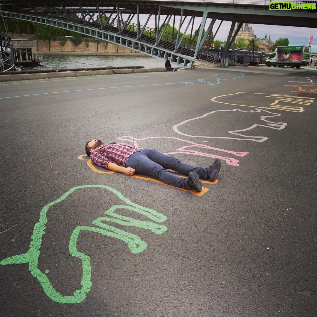 Derek Muller Instagram - One average human. Apparently the same size as a ostrich and bigger than a unicorn. Blue whale for scale. Georgetown, DC