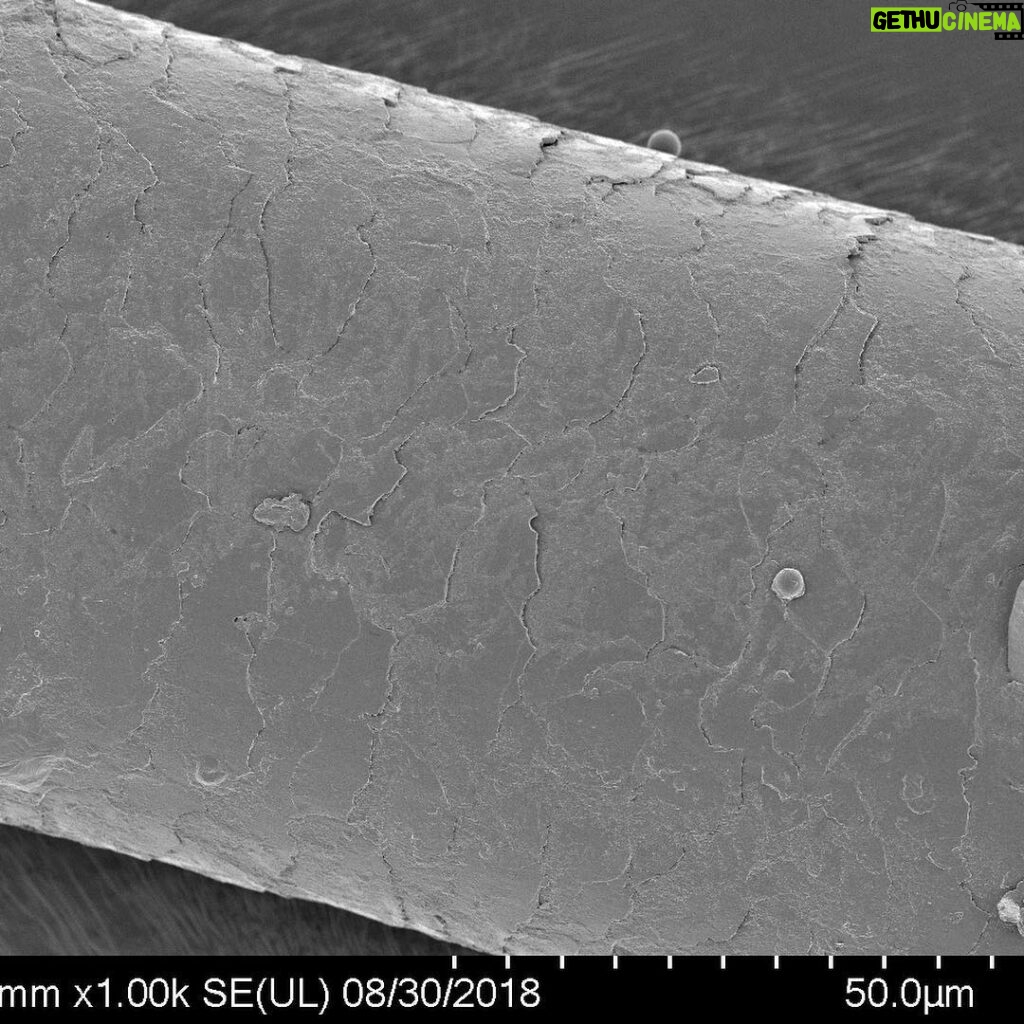 Derek Muller Instagram - This is MY hair, swipe to zoom in. Goop in first shot is hair product. I never thought I would see my hair this close up but thanks to the scientists at @headandshoulderseu I did - as part of my new video they pulled my hair and put it under an electron microscope! Check out the new vid about the fungus on your head: ve42.co #sponsored #headandshoulders