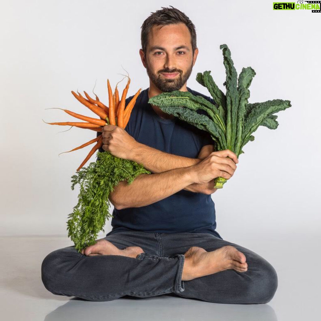 Derek Muller Instagram - I spent hours trying to make a thumbnail for my new video: Is Food Becoming Less Nutritious? ve42.co I don’t think I picked the right one. Do you like any of these?