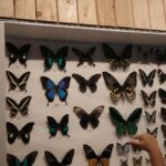 Devi Kinal Putri Instagram - ceritanya kebun binatang saat tidak hujan. jadi bukan tempat rahasia jalan-jalannya tapi tetep sambil berpegang tangan. 🩷🩷🩷🩷