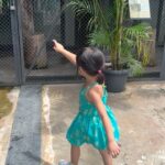 Devi Kinal Putri Instagram - ceritanya kebun binatang saat tidak hujan. jadi bukan tempat rahasia jalan-jalannya tapi tetep sambil berpegang tangan. 🩷🩷🩷🩷