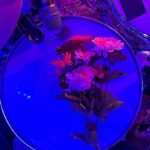 Devon Gilfillian Instagram - PITTSBURGH, you blew us away last night. Thank you for singing every word 💐 💜. Limited tickets available for tonight in Ann Arbor. Scoop em quick. 🤘🏾 Love You Anyway shows this week: ^09.22 - Ann Harbor, MI - @the_ark_ann_arbor ^09.23 - Toronto, ON - @thedrakehotel ^09.25 - New York, NY - @racketnewyork ^09.28 - Boston, MA - @thesinclair ^# 09.28 - Philadelphia, PA - @brooklynbowlphilly ^ @ohhedead # @ryangilfillian