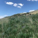 Devon Hales Instagram - 🤠 (2) Livingston, Montana