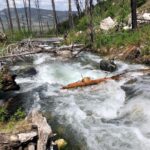 Devon Hales Instagram - 🤠 (2) Livingston, Montana