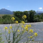 Devon Hales Instagram - 🤠 Livingston, Montana
