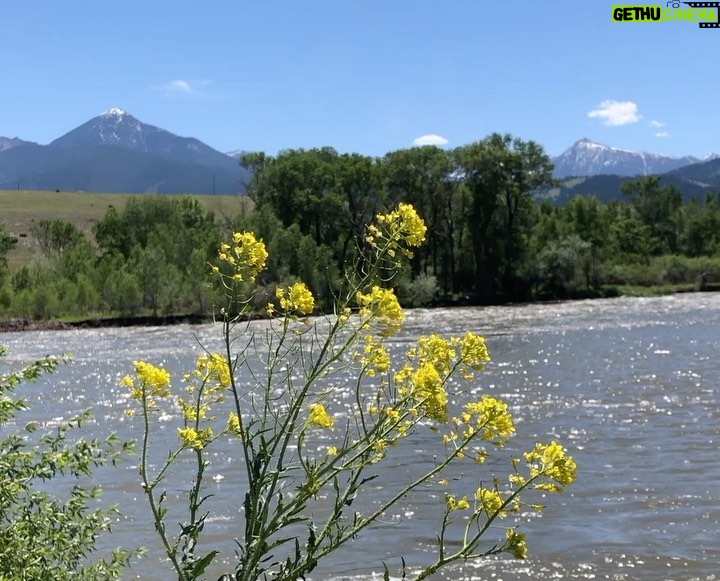 Devon Hales Instagram - 🤠 Livingston, Montana