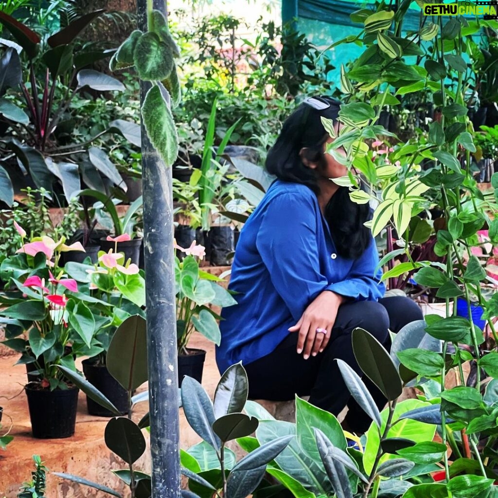 Dhanya Ananya Instagram - A little plan 🍃 Be curious. Go outside. Hydrate. Breathe . Eat happy. Be kind. Accept that not everyone will like you. Appreciate those who do. Don't be defined. Want what you already have. Learn to say no to things that get in the way of life. And to say yes to the things that help you live 🦋 #sharedworld ♥️ Mananthavady, India
