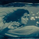 Dhanya Ananya Instagram - Who is that you are looking for 🐟🧜‍♀️ @dasaquariumqln #widowtetra #aquarist #waterlife #fishlovers #dasaquarium #blue #eyes #life #aquarium DAS Aquarium