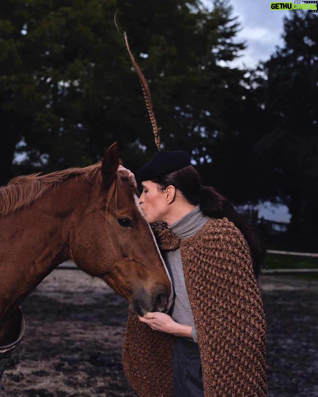 Di Mondo Instagram - 7:56pm “what’s more important the journey or the destination and the other replies the company! / qué es más importante el viaje o el destino y el otro responde la compañía!” #HappyThanksgiving #Grateful #FarmLife #Horse #DiMondo Thursday November.23.2023 #StBarts Pics: @alicia_shi Edit: @_alisa_ruby_ Hair and Makeup: @vicenteferrerp @instagram