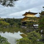 Dia Frampton Instagram - While walking in Kyoto alone... so many thoughts rise up. I try to not listen to music, or check my phone too often, although it's so beautiful I often reach for it to snag a photo. Drifting through new, strange territory alone is exhilarating and... not lonely, but full of satisfying solitude. Like when I meditate… fear of failure, past relationships, and regrets float through my mind. But I push them aside. They come and go as they please, but I don't latch onto them. Instead, I latch onto hope. The future. The beautiful people around me. The ones who somehow believe in me still. So grateful for every voice in my life that has told me, "I can." You don't know how much a passing phrase like that has meant to me. Onward we go. Kyoto, you're enchanting. 🇯🇵❤️ Kyoto, Japan