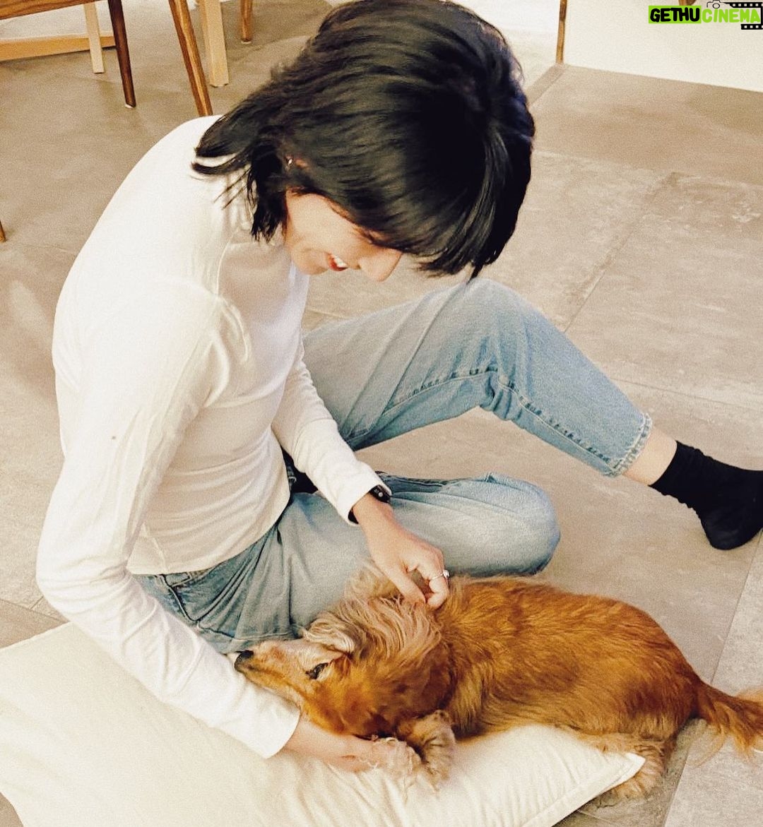 Diane Lin Instagram - 平常叫喚不來的Kuri公主主動提出要抓耳朵的服務,實在備感榮幸。