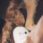 Diane Lin Instagram - 被過得亮亮的日子 是由好的不好的 快樂的難過的 所組成 缺一不可