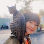 Diane Lin Instagram - 最近頗有貓緣 才跟Honey見第二次面 也還沒深聊什麼 他就自己走到我的肩膀上 還幫我圍了一條圍巾 有夠幸湖 #已過度幸運的2023