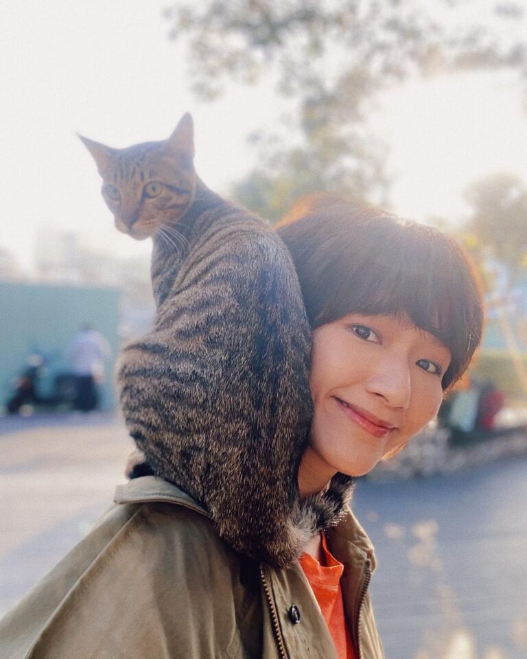 Diane Lin Instagram - 最近頗有貓緣 才跟Honey見第二次面 也還沒深聊什麼 他就自己走到我的肩膀上 還幫我圍了一條圍巾 有夠幸湖 #已過度幸運的2023