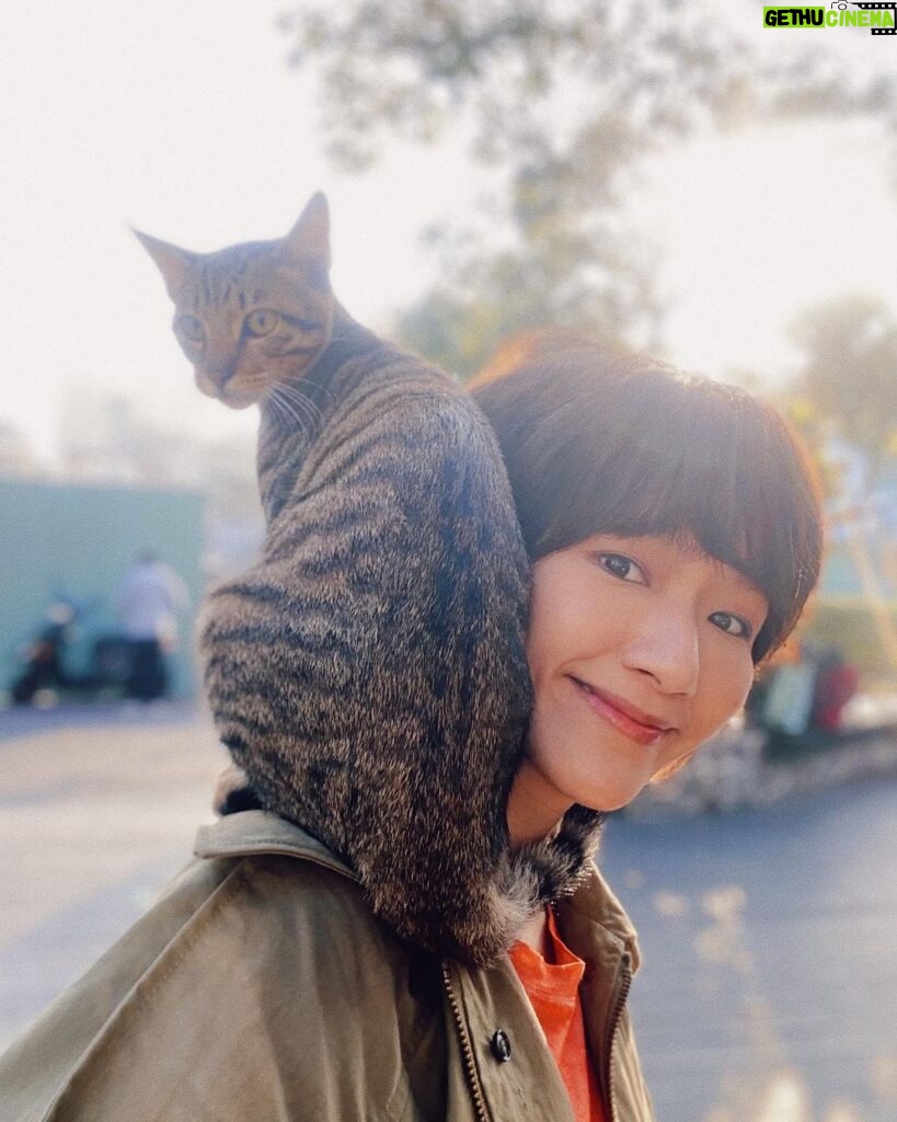 Diane Lin Instagram - 最近頗有貓緣 才跟Honey見第二次面 也還沒深聊什麼 他就自己走到我的肩膀上 還幫我圍了一條圍巾 有夠幸湖 #已過度幸運的2023