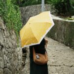 Diane Lin Instagram - 因為太常把傘弄掉 所以就不再帶傘出門 有一次不得不在暴雨的路上買傘 一眼就看到這把黃色的上面有羊跟雲的折疊傘 因為是架上的唯一一把 我覺得我們很有緣份 我不稱呼他為傘 我叫他「小羊與雲」 後來有下雨的日子幾乎都會帶著小羊與雲出門 甚至還在櫃子裡整理出一個專屬他的位子 因為小羊與雲 雨天更美了 天光透過他打了一盞溫暖的燈在我身上 正是我喜歡的色調 凡事有了名字 就有了羈絆跟感情 就化為實際的重量 沈甸甸的放在心上 給予名字是危險的 因為擁有時有多快樂 分離時就會有多痛苦 我們的第一張合照 在應是多晴的沖繩 特此紀念 寫了這篇文 完蛋了 感情又更深了