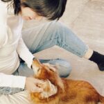 Diane Lin Instagram - 平常叫喚不來的Kuri公主主動提出要抓耳朵的服務，實在備感榮幸。