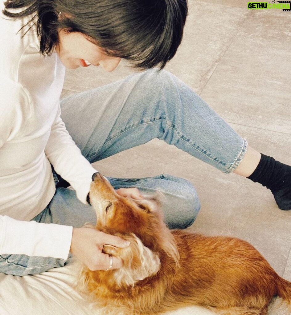 Diane Lin Instagram - 平常叫喚不來的Kuri公主主動提出要抓耳朵的服務，實在備感榮幸。