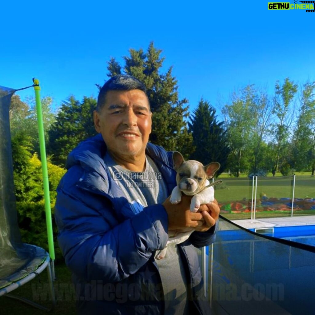 Diego Maradona Instagram - Tarde de sol, en buena compañía...