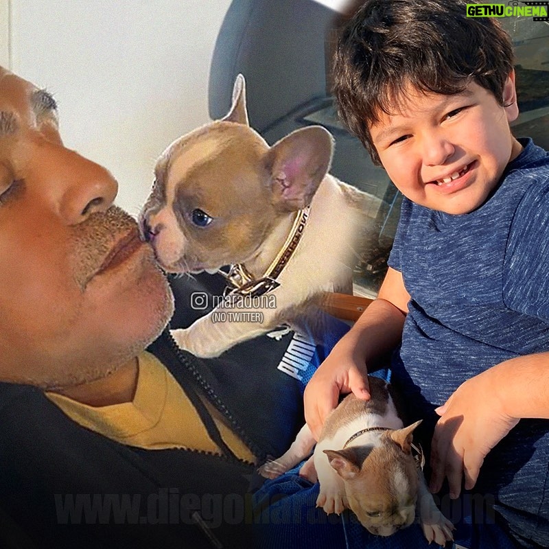 Diego Maradona Instagram - Les presentamos a Lola Maradona!!! Muchas gracias @linocartucho5 por este hermoso regalo...