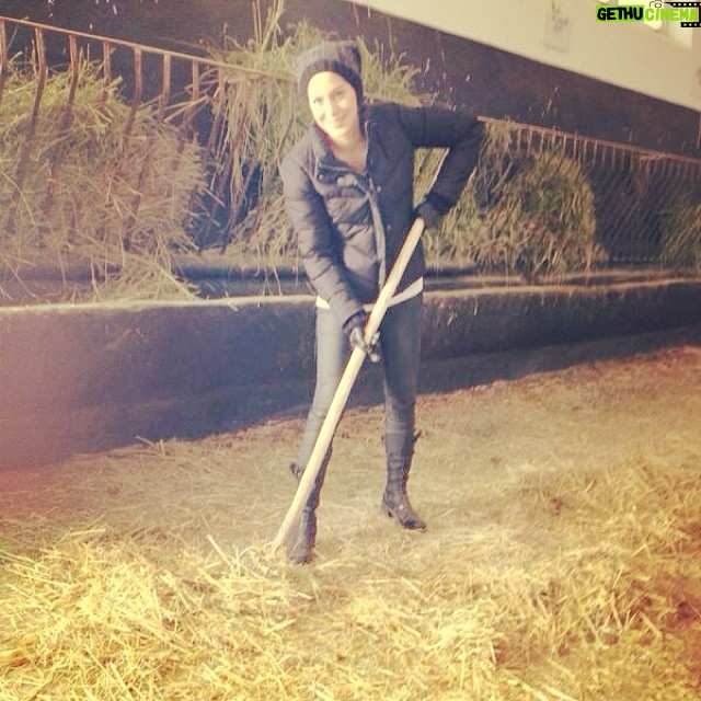 Dilara Gönder Instagram - Bu hafta işimiz harada..10 aylık hamile kısraklarla imtihanımız saat 21.00'de Ntv'de.İyi seyirler :)