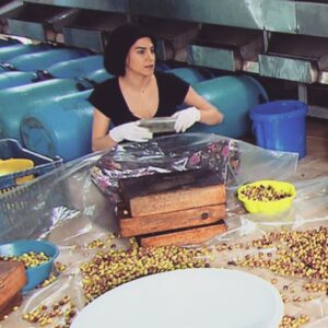 Dilara Gönder Instagram - Zeytin kirarken... #zorisler