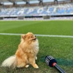 Diletta Leotta Instagram – That’s All Folks ! 🏆⚽️ Stadio Diego Armando Maradona