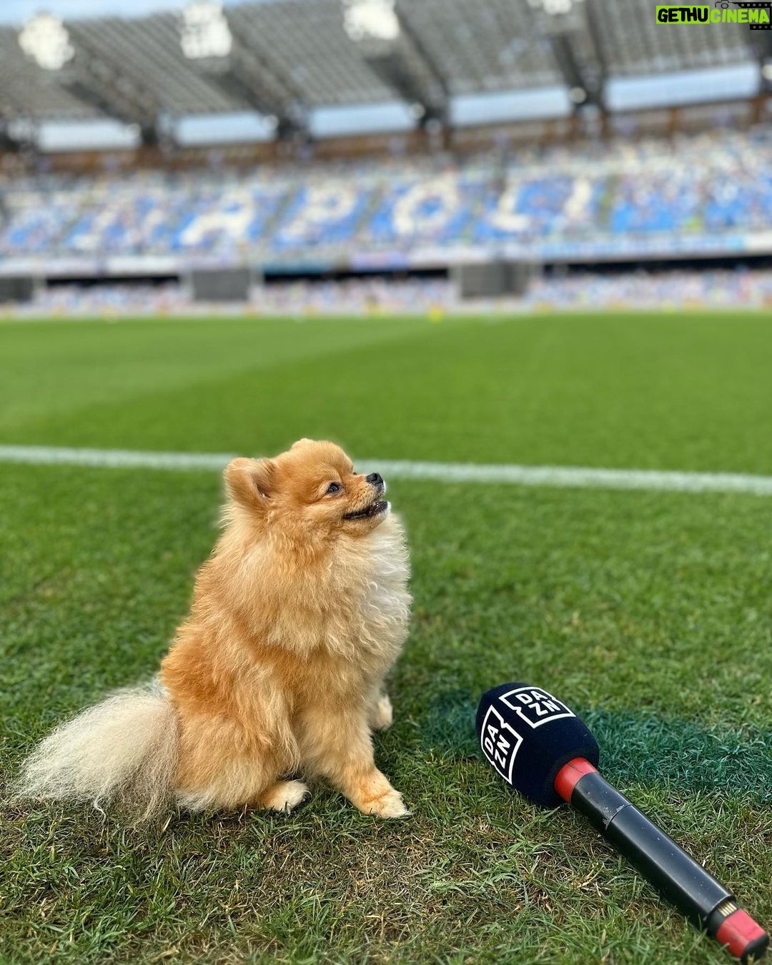 Diletta Leotta Instagram - That's All Folks ! 🏆⚽️ Stadio Diego Armando Maradona
