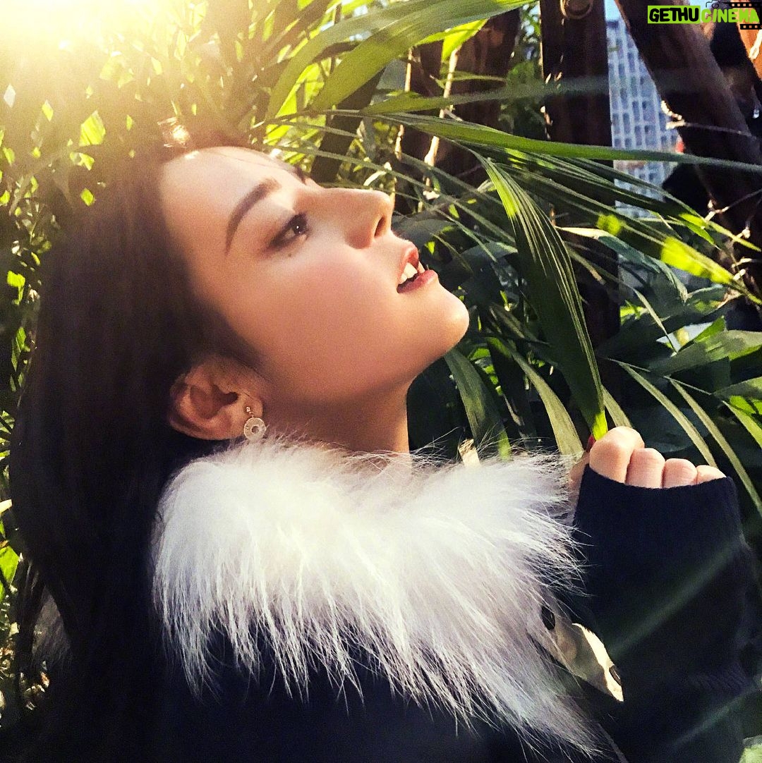 Dilraba Dilmurat - 18.6K Likes - 行,别催了,都看到了,大哥来了🙂