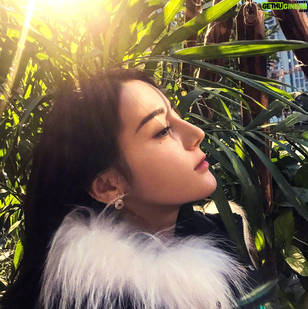 Dilraba Dilmurat - 18.6K Likes - 行,别催了,都看到了,大哥来了🙂