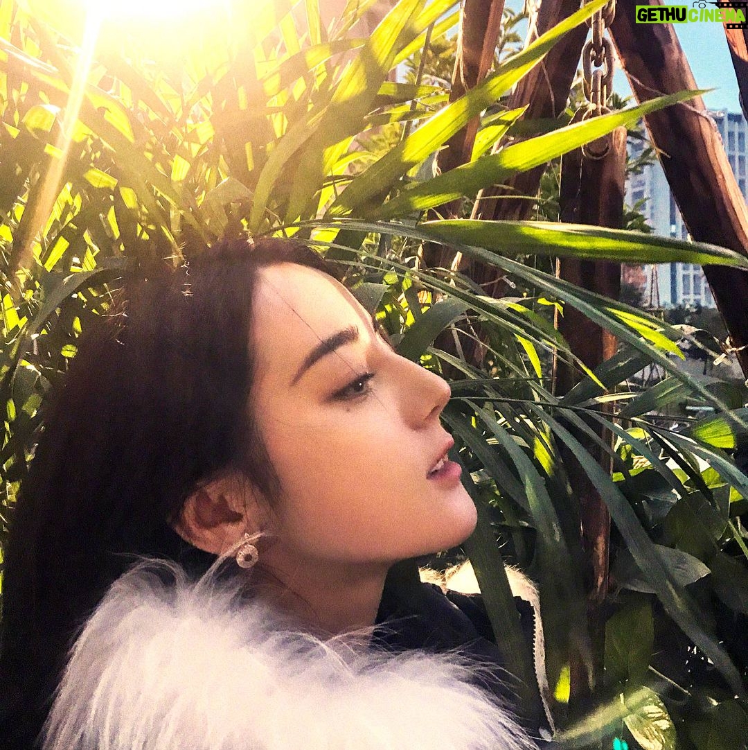Dilraba Dilmurat - 18.6K Likes - 行,别催了,都看到了,大哥来了🙂