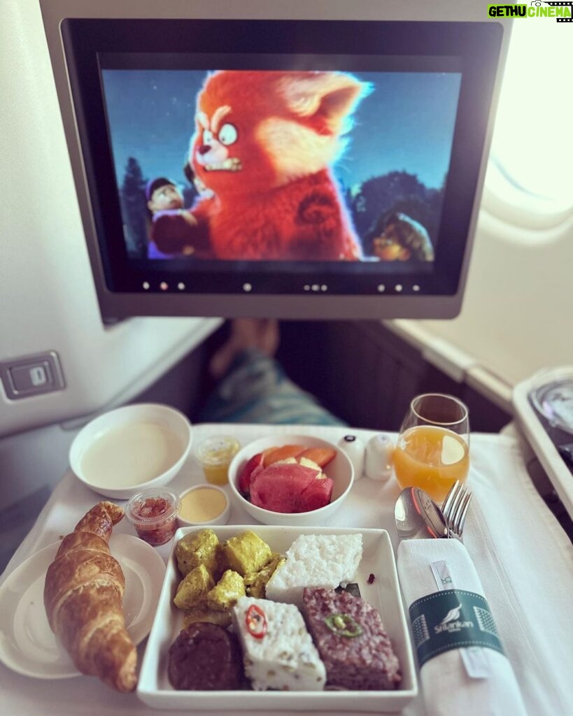 Dilruk Jayasinha Instagram - Disney & Kiri bath breakfast in bed, in the sky! Thank you @srilankanairlinesofficial for another world class travel set up for one of the comfiest long haul trips ever! Even though it was 10hr flight, I was so rested that I still energy to get out in the middle winter and get my daily exercise in 🙌🏾🏃🏾‍♂️! Sure it wasn’t a run long enough undo all the thambili I drank, but still nice to have energy to move! Thank you again and can’t wait to fly with you soon.