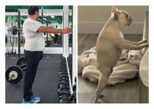 Dilruk Jayasinha Instagram - 24 in a row! Despite the unbroken workout streak, probably was a bit premature in doing a progress check in the mirror.